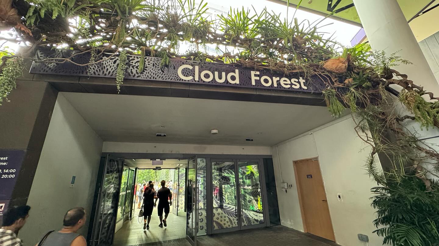 #GardensByTheBay #CloudForest Part 1 (6)