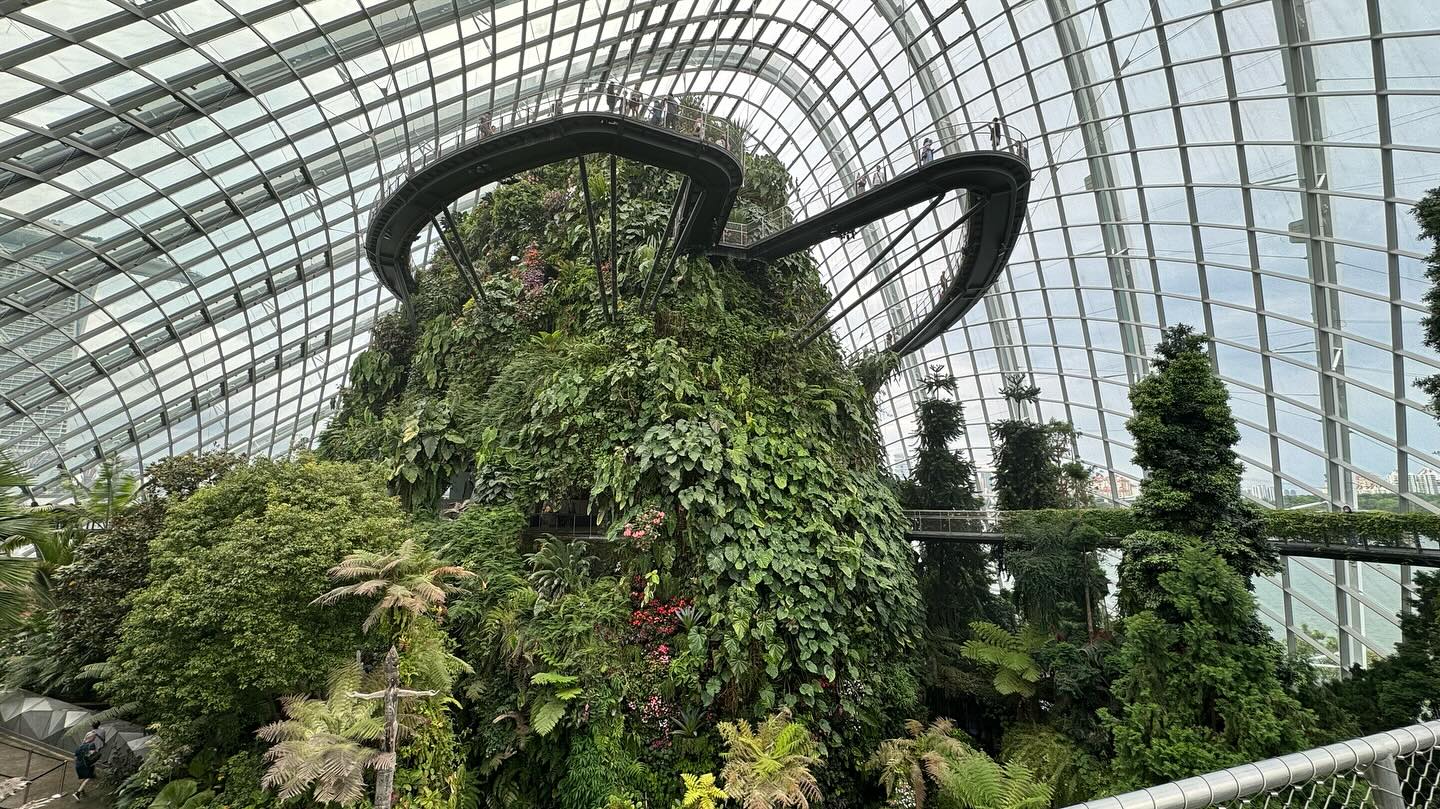 #GardensByTheBay #CloudForest Part 1 (7)