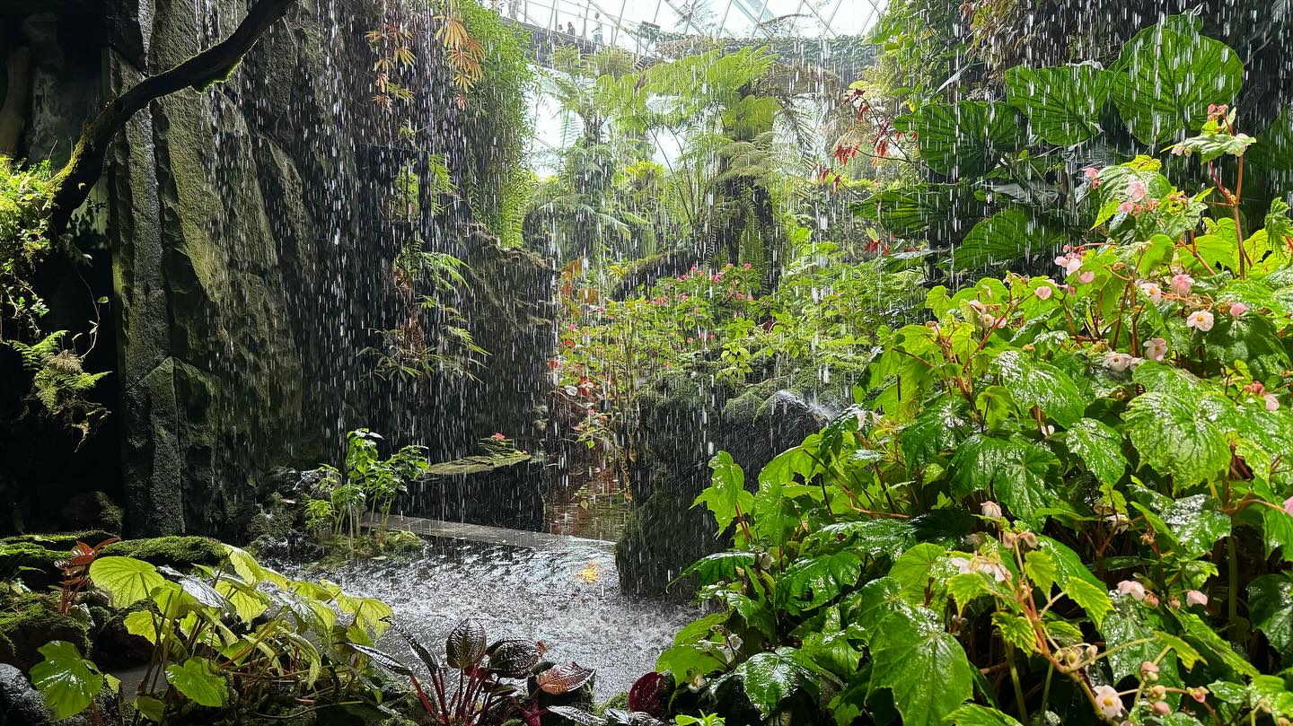 #GardensByTheBay #CloudForest Part 1 (8)
