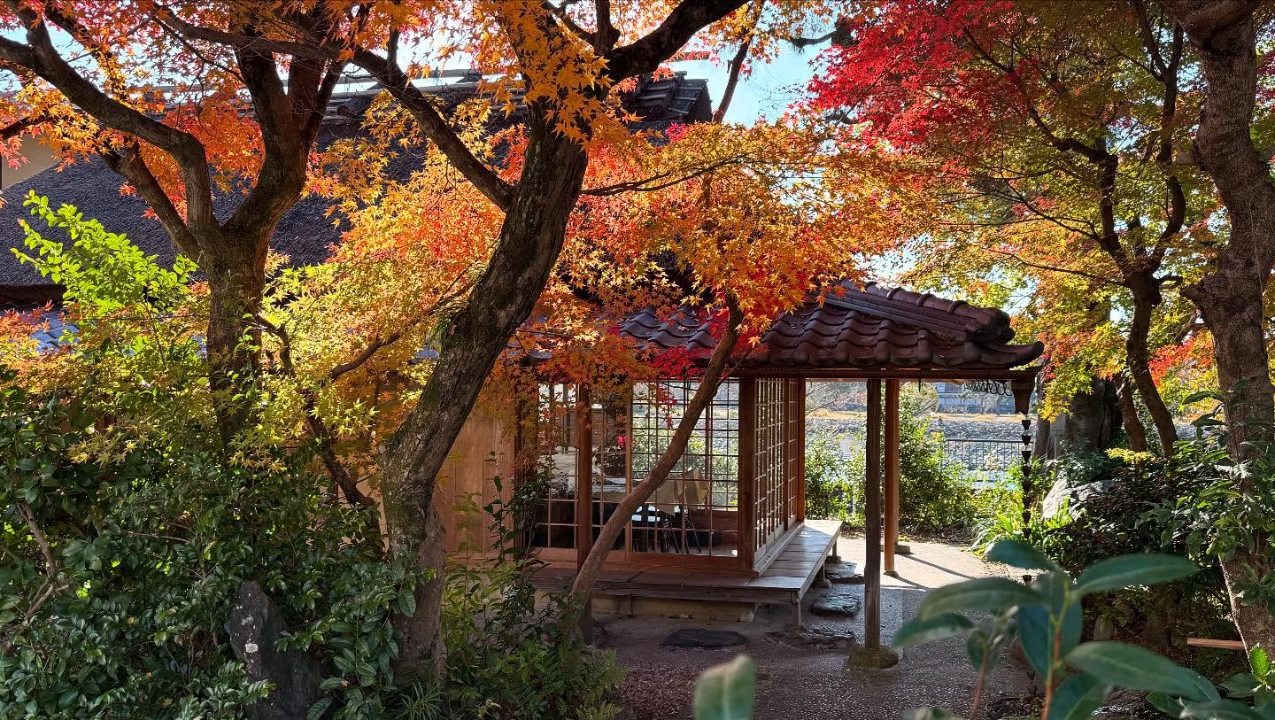 Walk about in #uji home of #matcha #kyoto #japan (5)