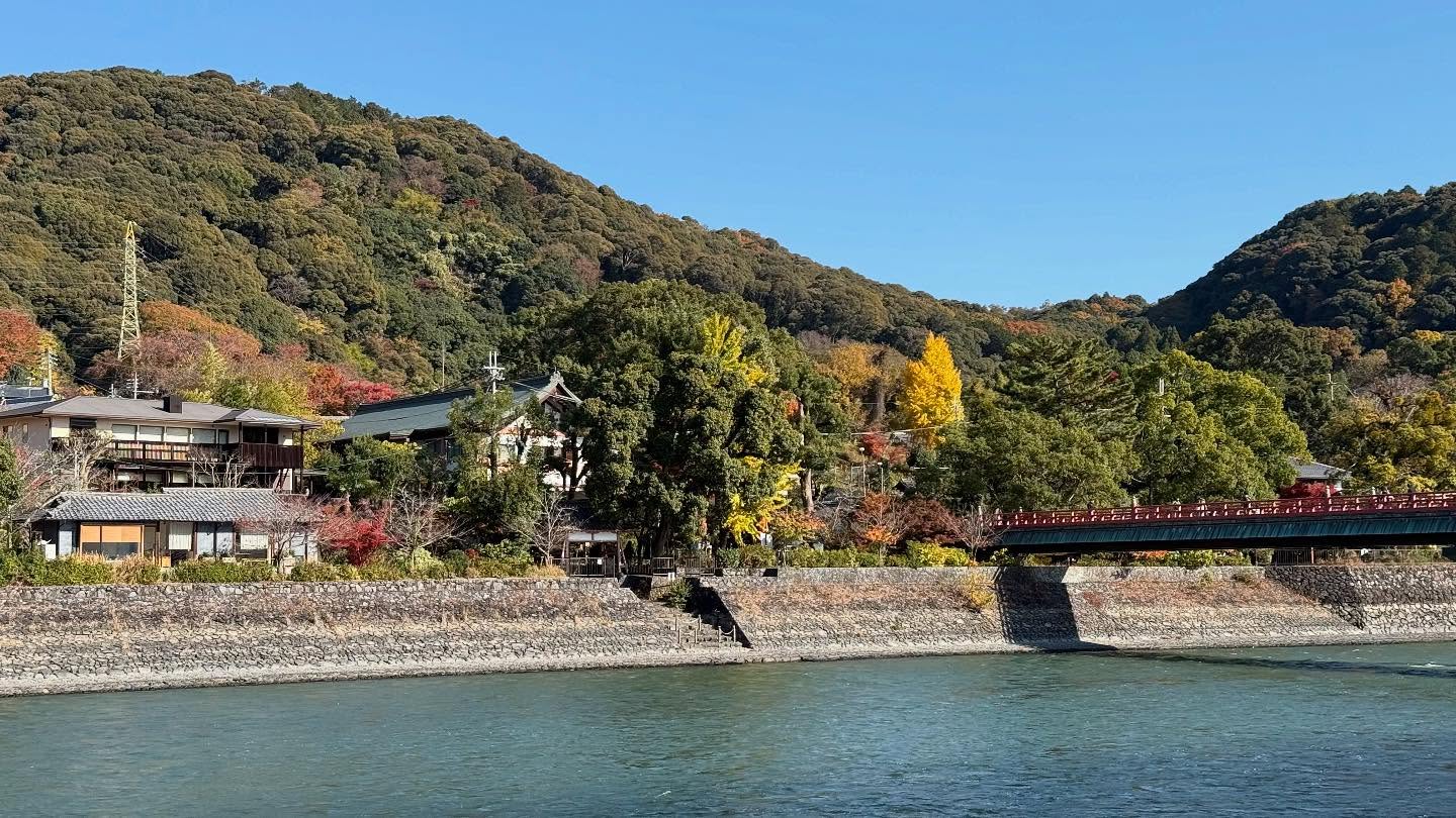 Walk about in #uji home of #matcha #kyoto #japan (9)