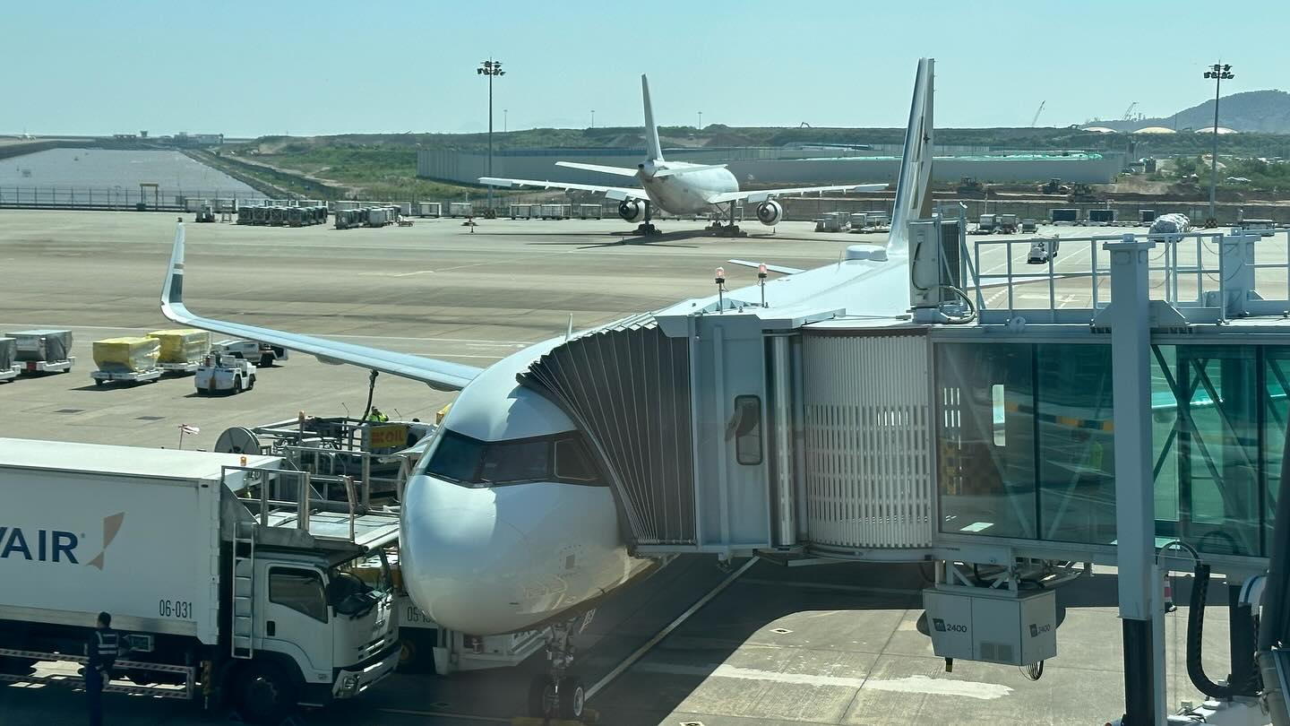 Plane at the gate