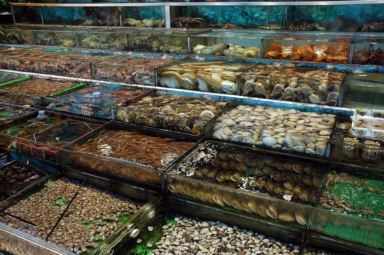 Live seafood tanks outside a restaurant in Sai Kung, Hong Kong